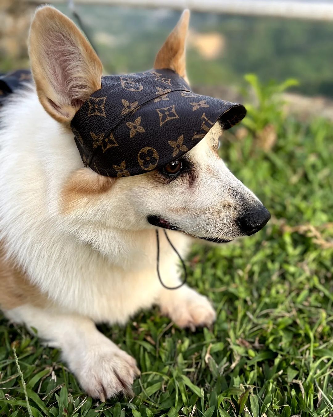 Furry Vuitton Faux Leather Cap