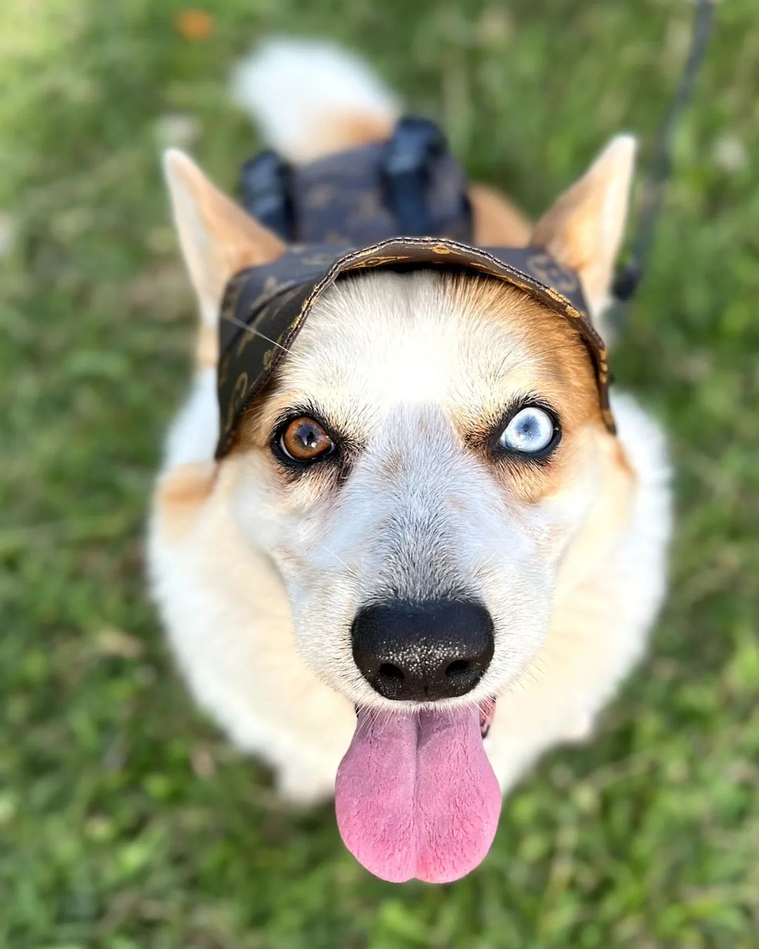 Furry Vuitton Faux Leather Cap