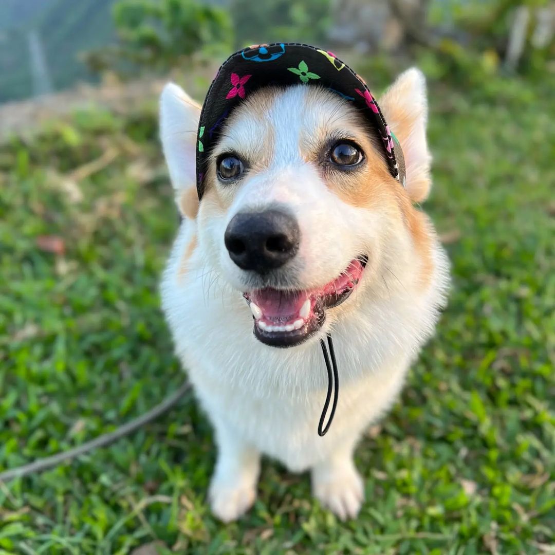 Furry Vuitton Faux Leather Cap