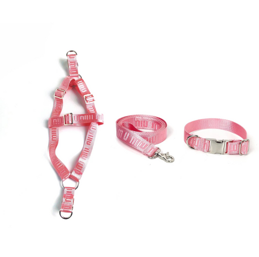 Miu Miu Collar, Harness & Leash Set