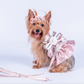 Chewnel Rose Dress Harness  & Leash Set