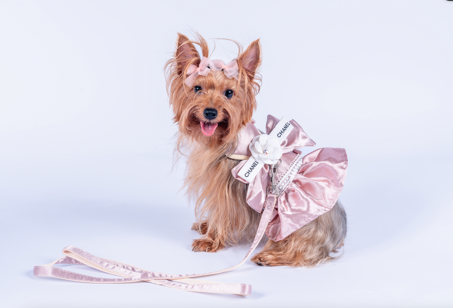 Chewnel Rose Dress Harness  & Leash Set