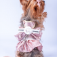 Chewnel Rose Dress Harness  & Leash Set