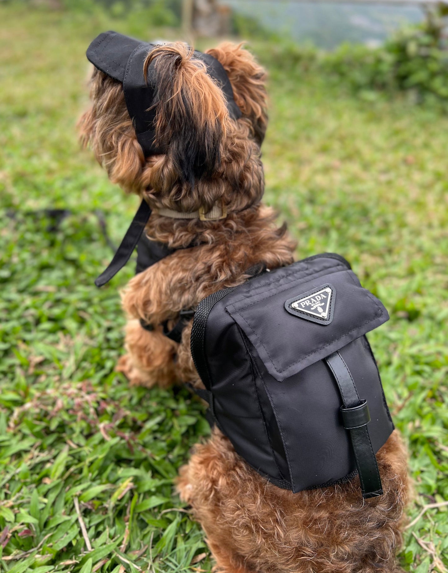 Pradawg Backpack Harness