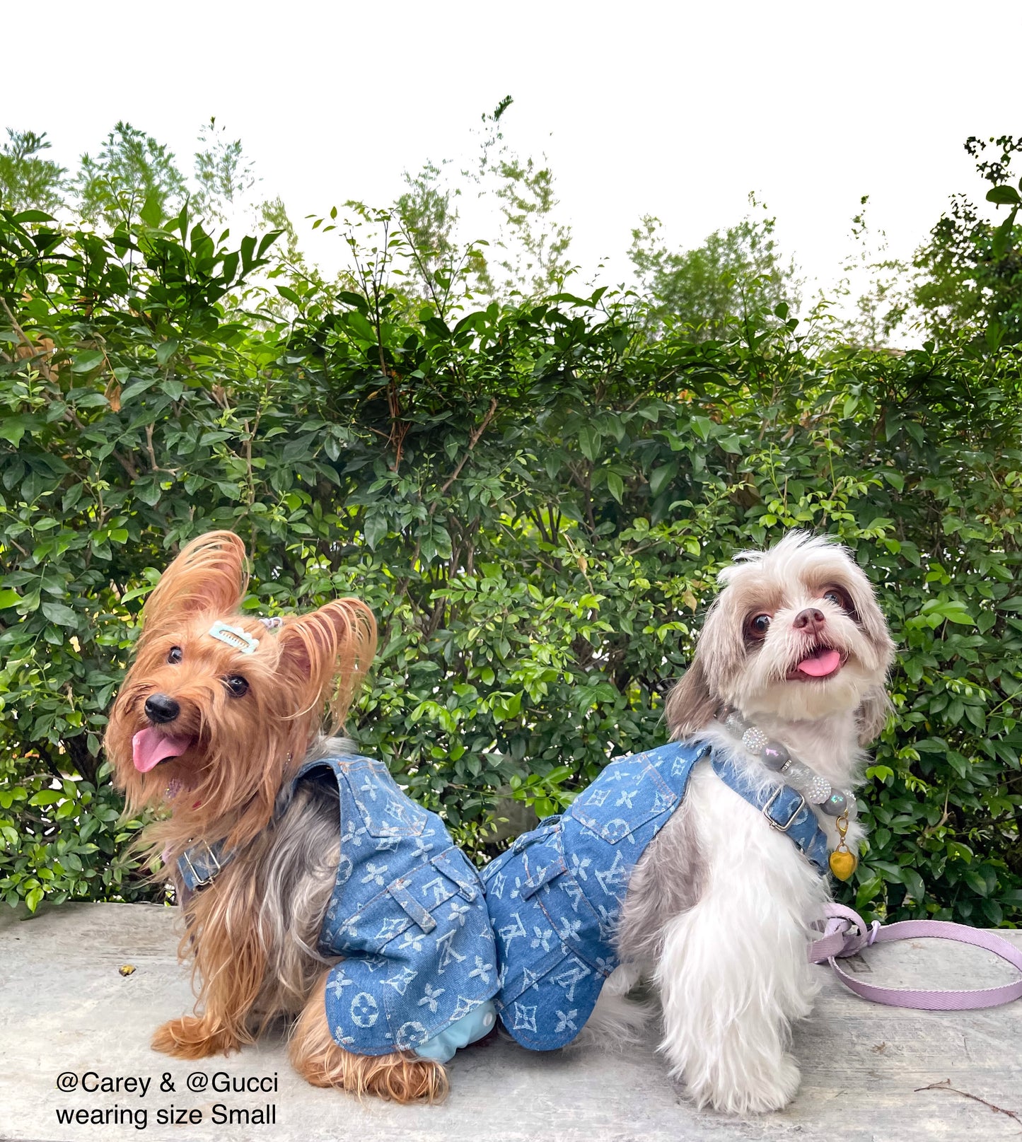 Furry Vuitton Denim Dress