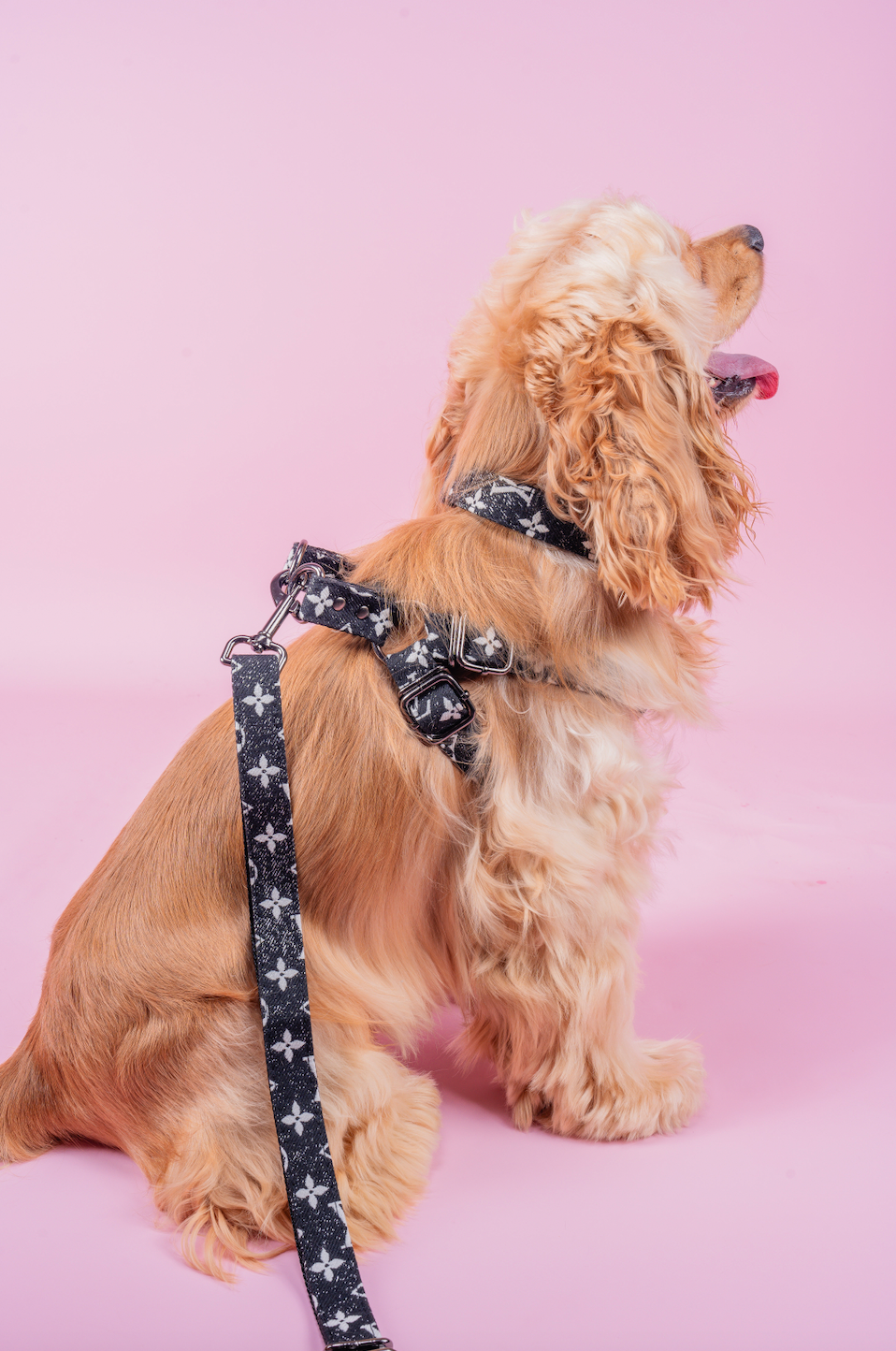 Furry Vuitton Drip Collar, Harness & Leash Set