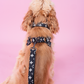 Furry Vuitton Drip Collar, Harness & Leash Set