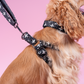 Furry Vuitton Drip Collar, Harness & Leash Set