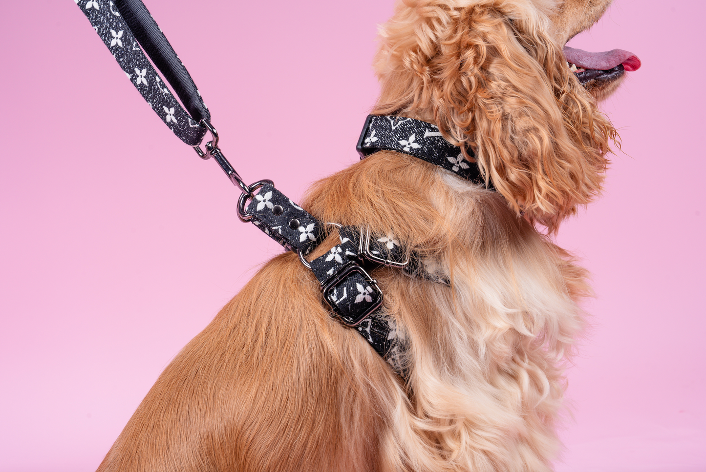 Furry Vuitton Drip Collar, Harness & Leash Set