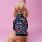 Adidog Light-up Track Jacket