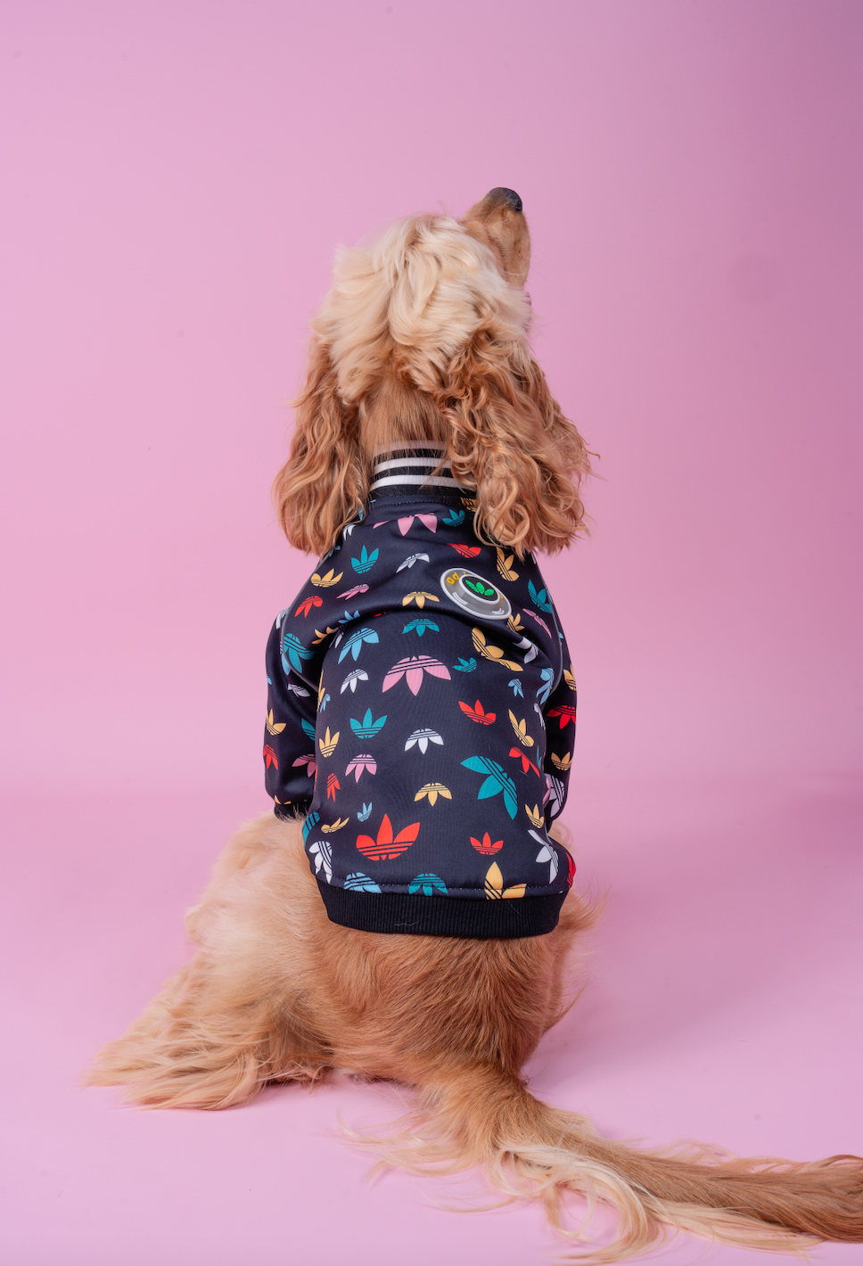 Adidog Light-up Track Jacket