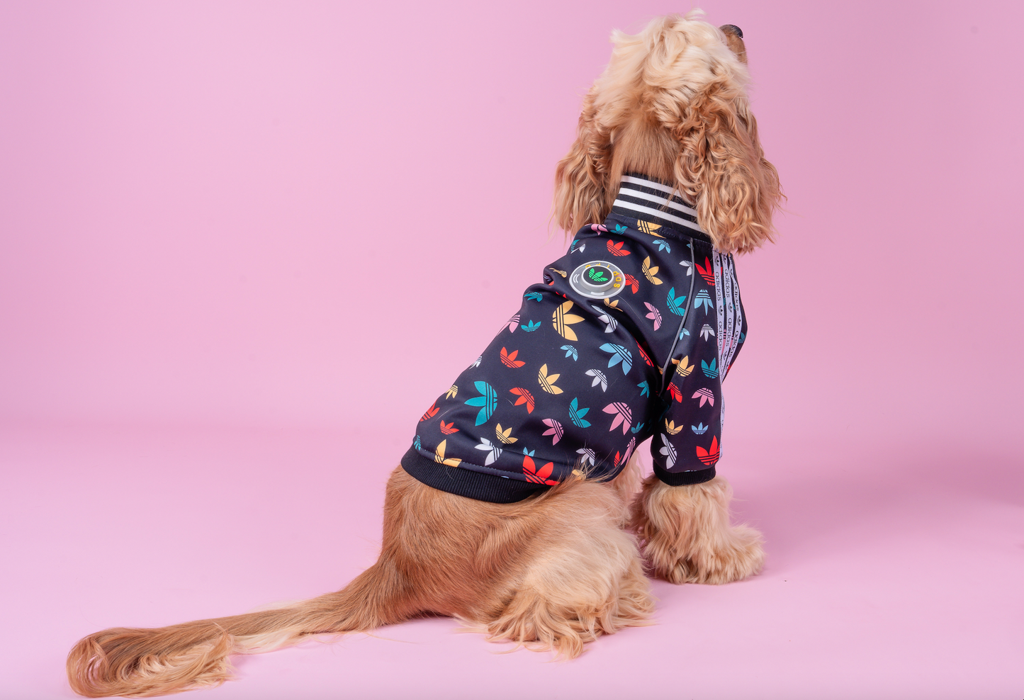 Adidog Light-up Track Jacket